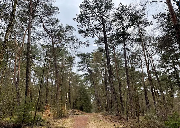 公寓 Haus Frauenpreiss 206 *